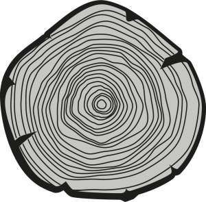 Favicon - Holzart Gescher